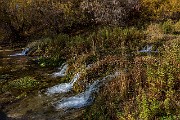 Cascade Springs 19-1471